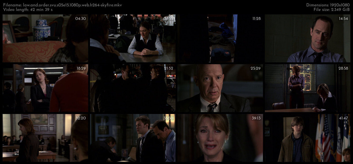 Law And Order SVU S05E15 1080p WEB H264 SKYFiRE TGx