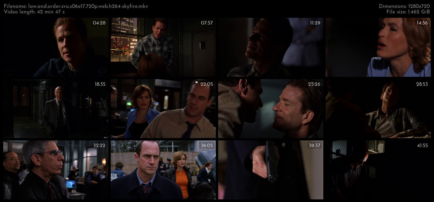 Law And Order SVU S06E17 720p WEB H264 SKYFiRE TGx