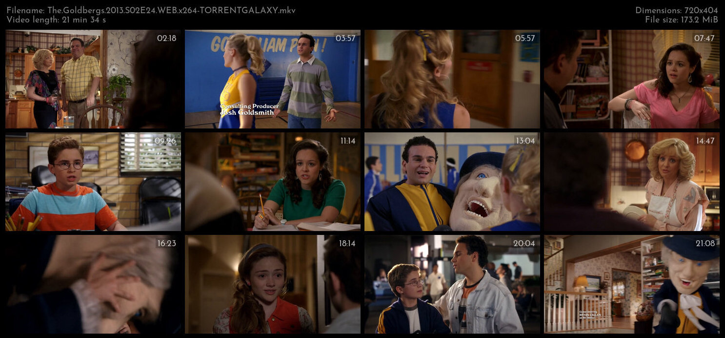 The Goldbergs 2013 S02E24 WEB x264 TORRENTGALAXY