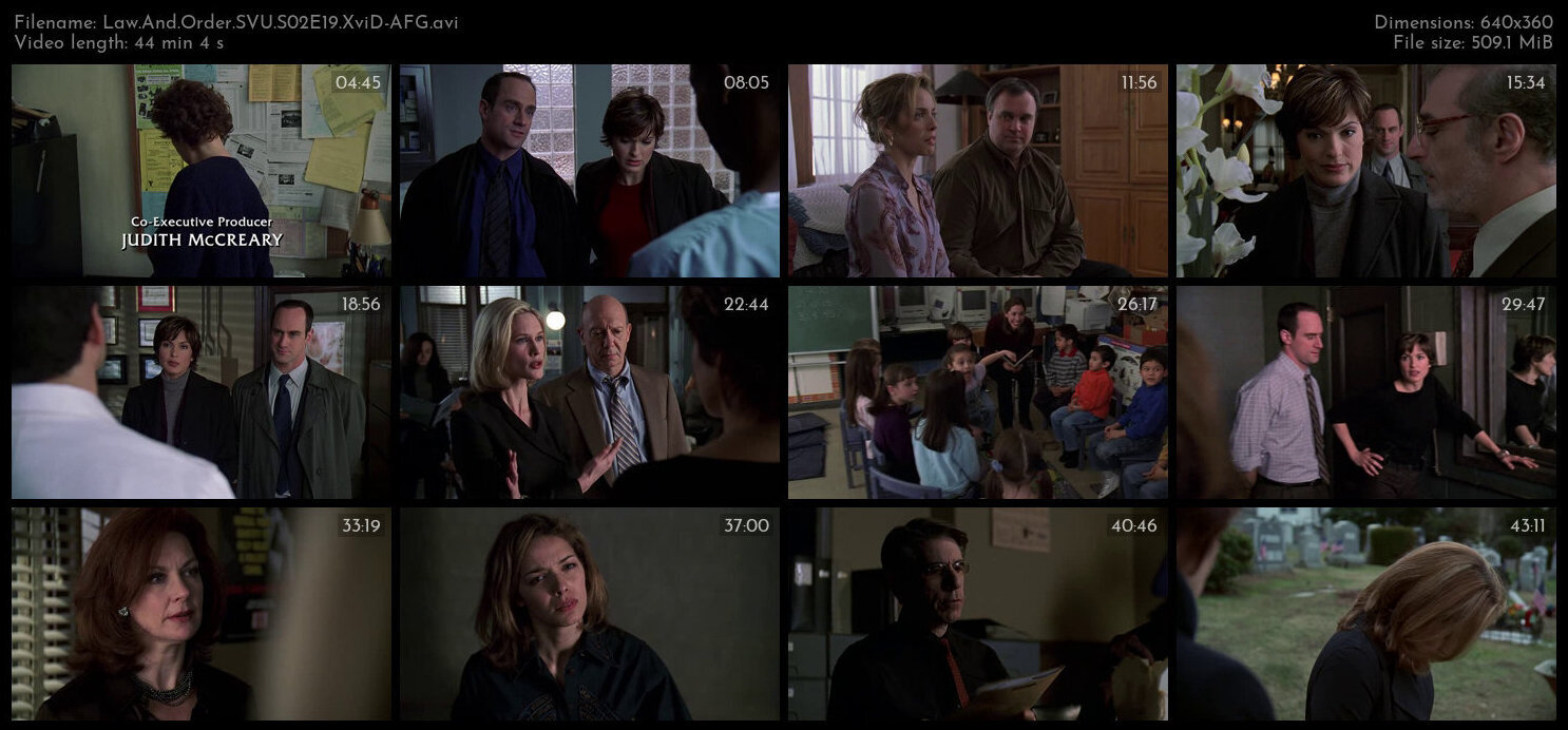 Law And Order SVU S02E19 XviD AFG TGx