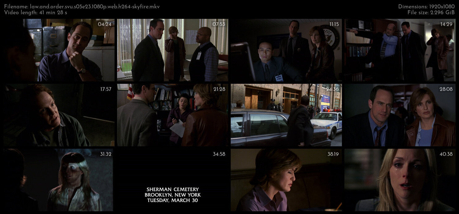 Law And Order SVU S05E23 1080p WEB H264 SKYFiRE TGx