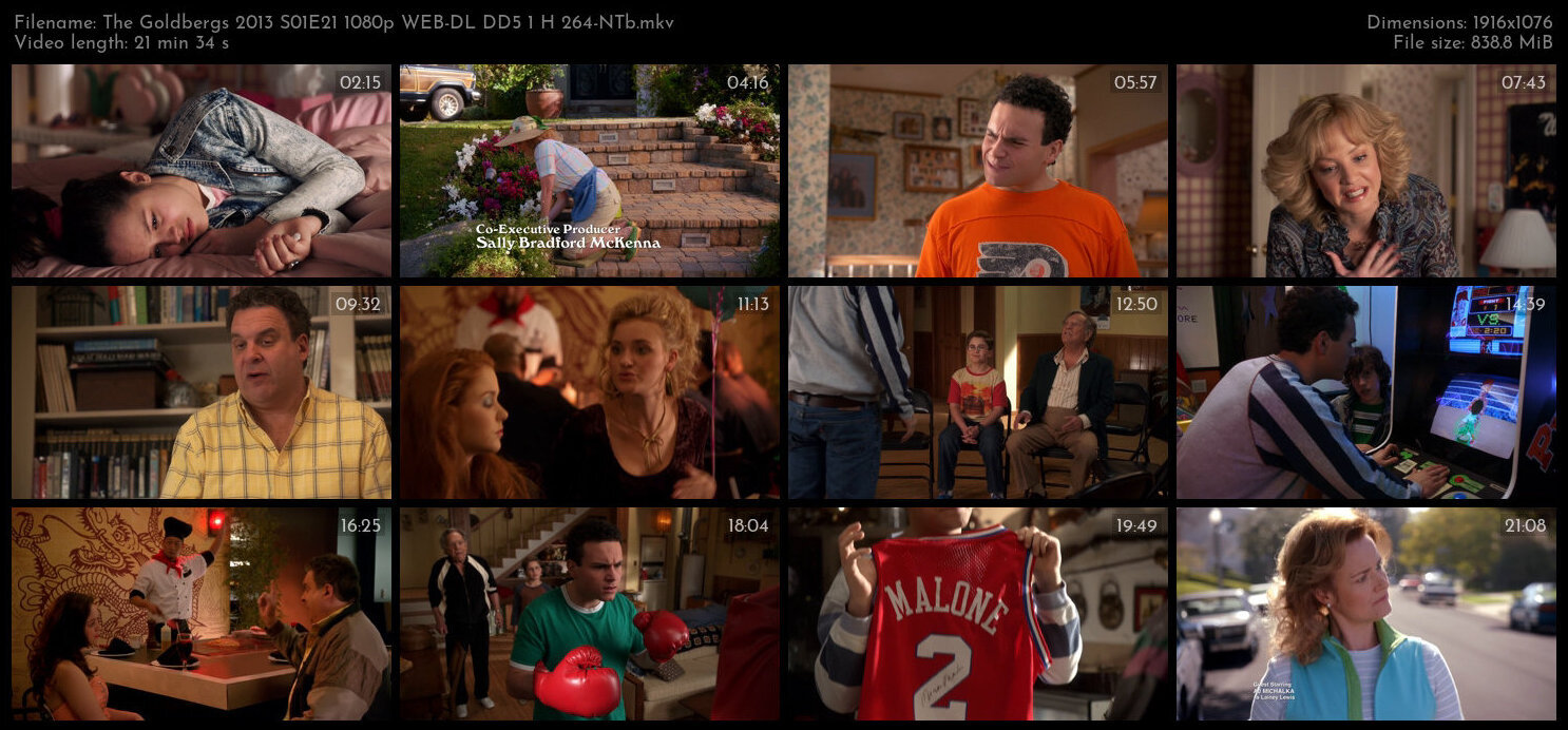 The Goldbergs 2013 S01E21 1080p WEB DL DD5 1 H 264 NTb TGx