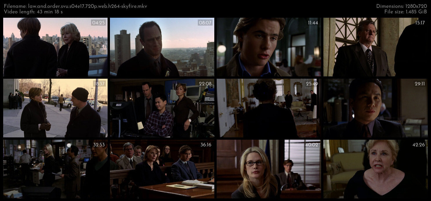 Law And Order SVU S04E17 720p WEB H264 SKYFiRE TGx