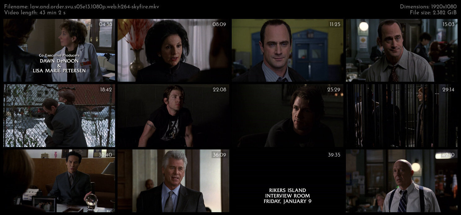 Law And Order SVU S05E13 1080p WEB H264 SKYFiRE TGx