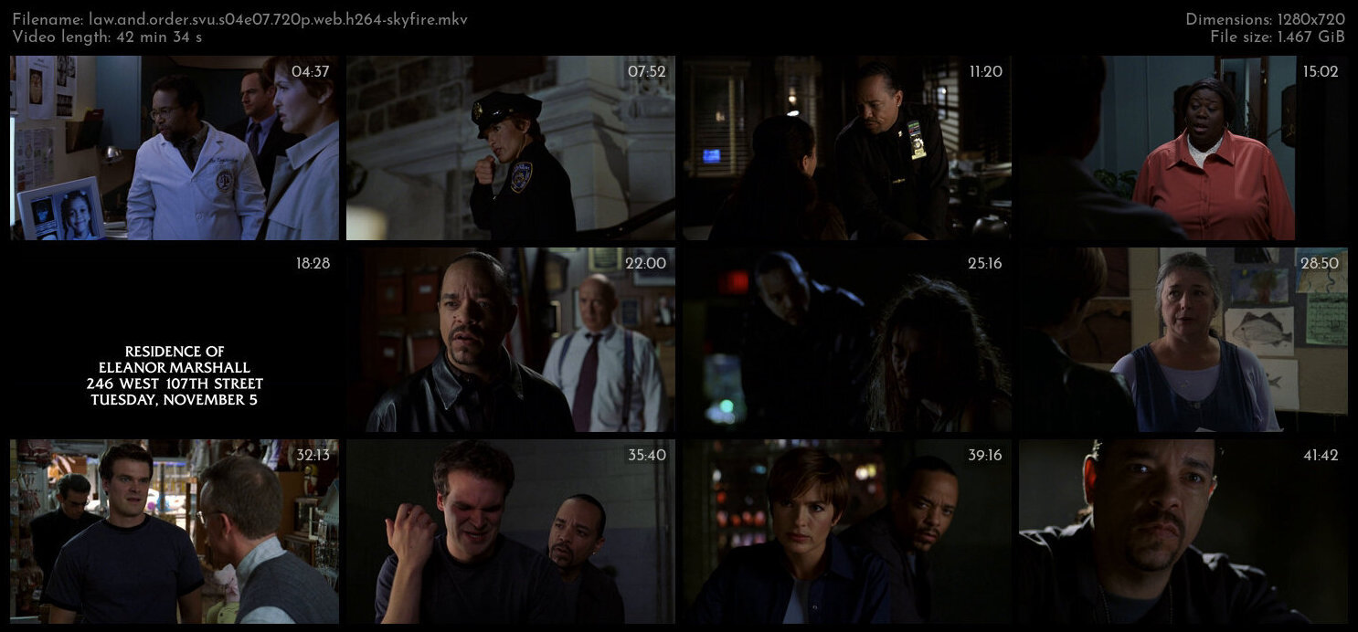 Law And Order SVU S04E07 720p WEB H264 SKYFiRE TGx