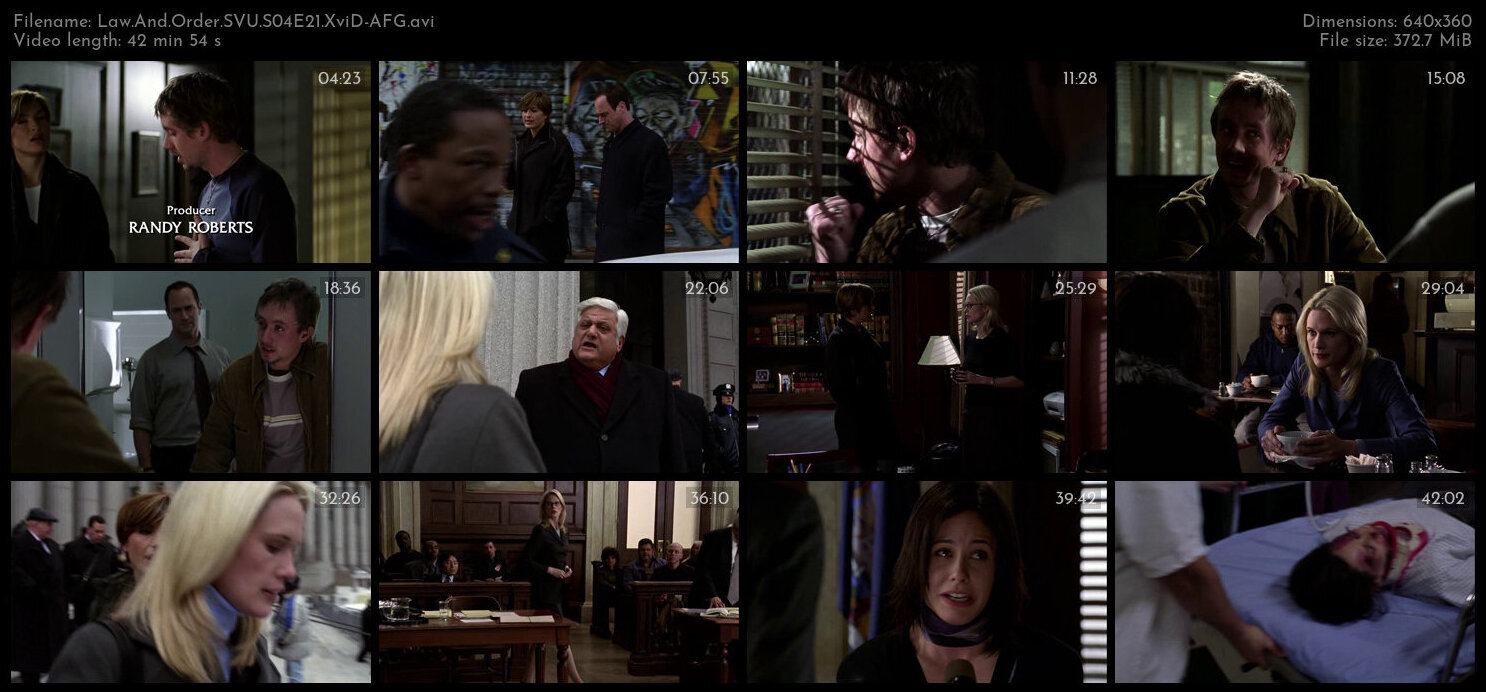 Law And Order SVU S04E21 XviD AFG TGx