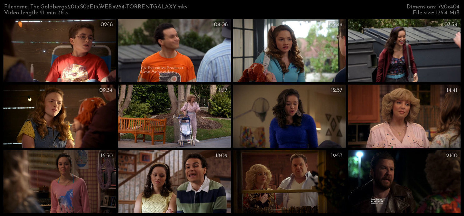 The Goldbergs 2013 S02E15 WEB x264 TORRENTGALAXY