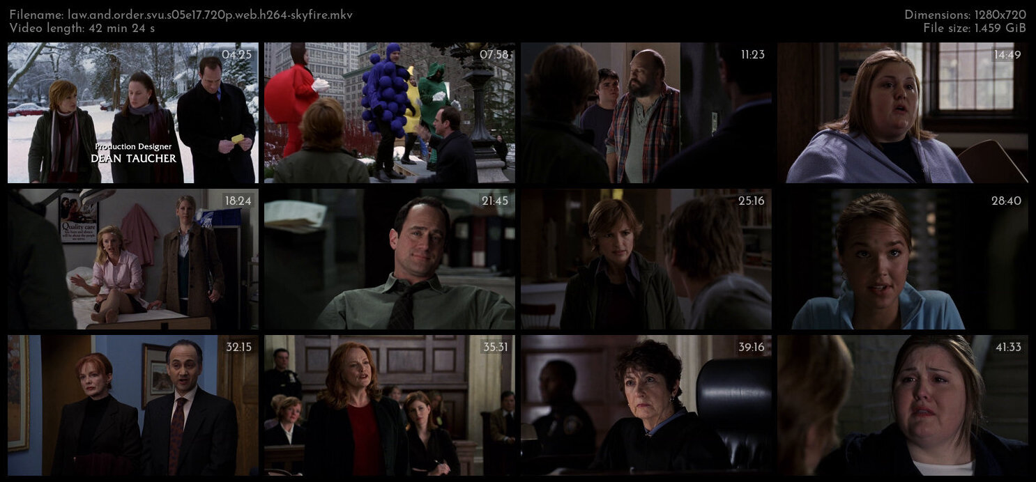 Law And Order SVU S05E17 720p WEB H264 SKYFiRE TGx