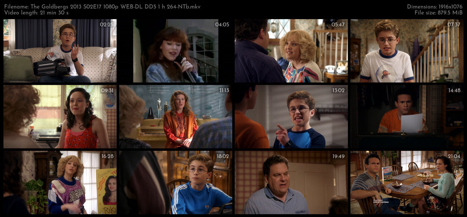 The Goldbergs 2013 S02E17 1080p WEB DL DD5 1 h 264 NTb TGx