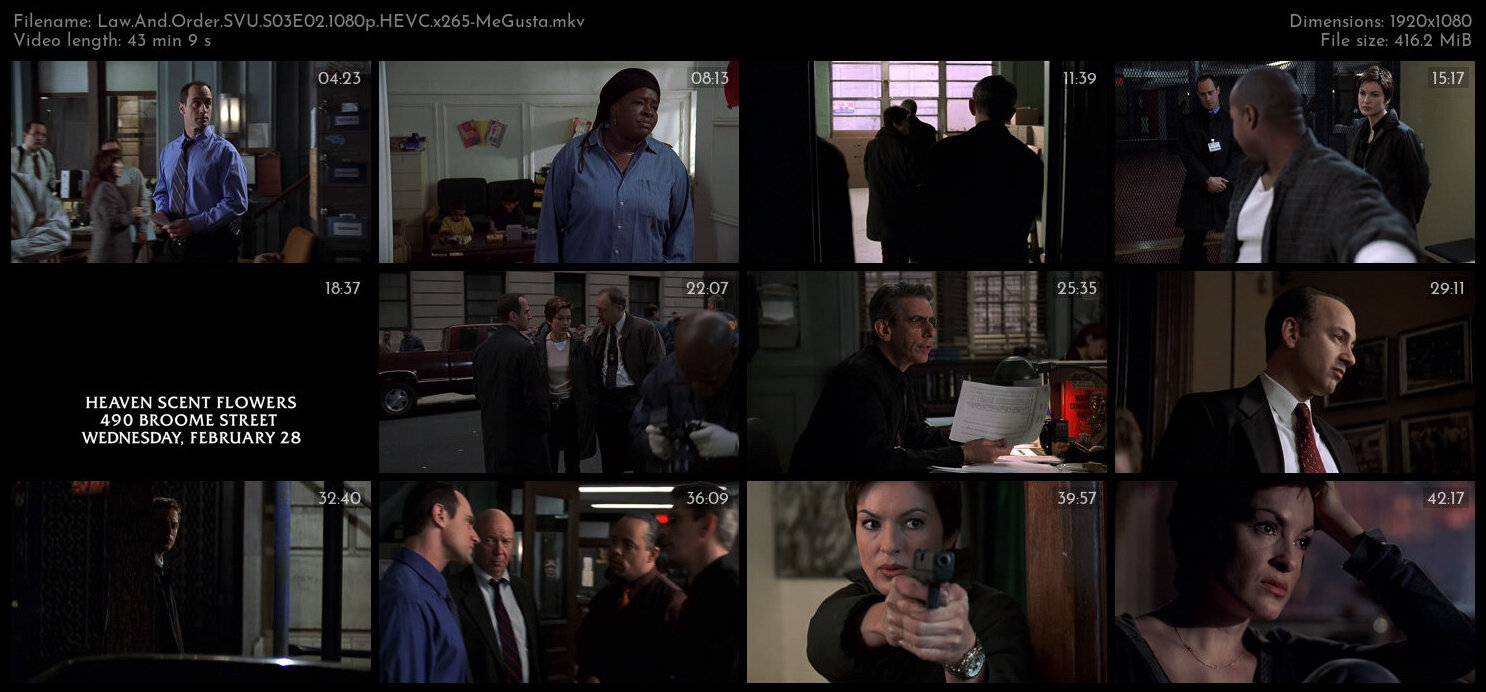 Law And Order SVU S03E02 1080p HEVC x265 MeGusta TGx