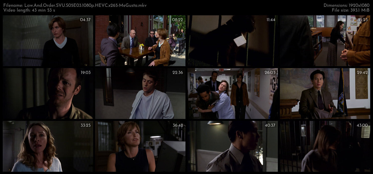 Law And Order SVU S05E03 1080p HEVC x265 MeGusta TGx