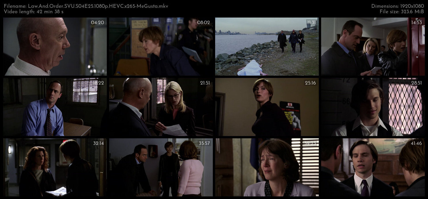 Law And Order SVU S04E25 1080p HEVC x265 MeGusta TGx