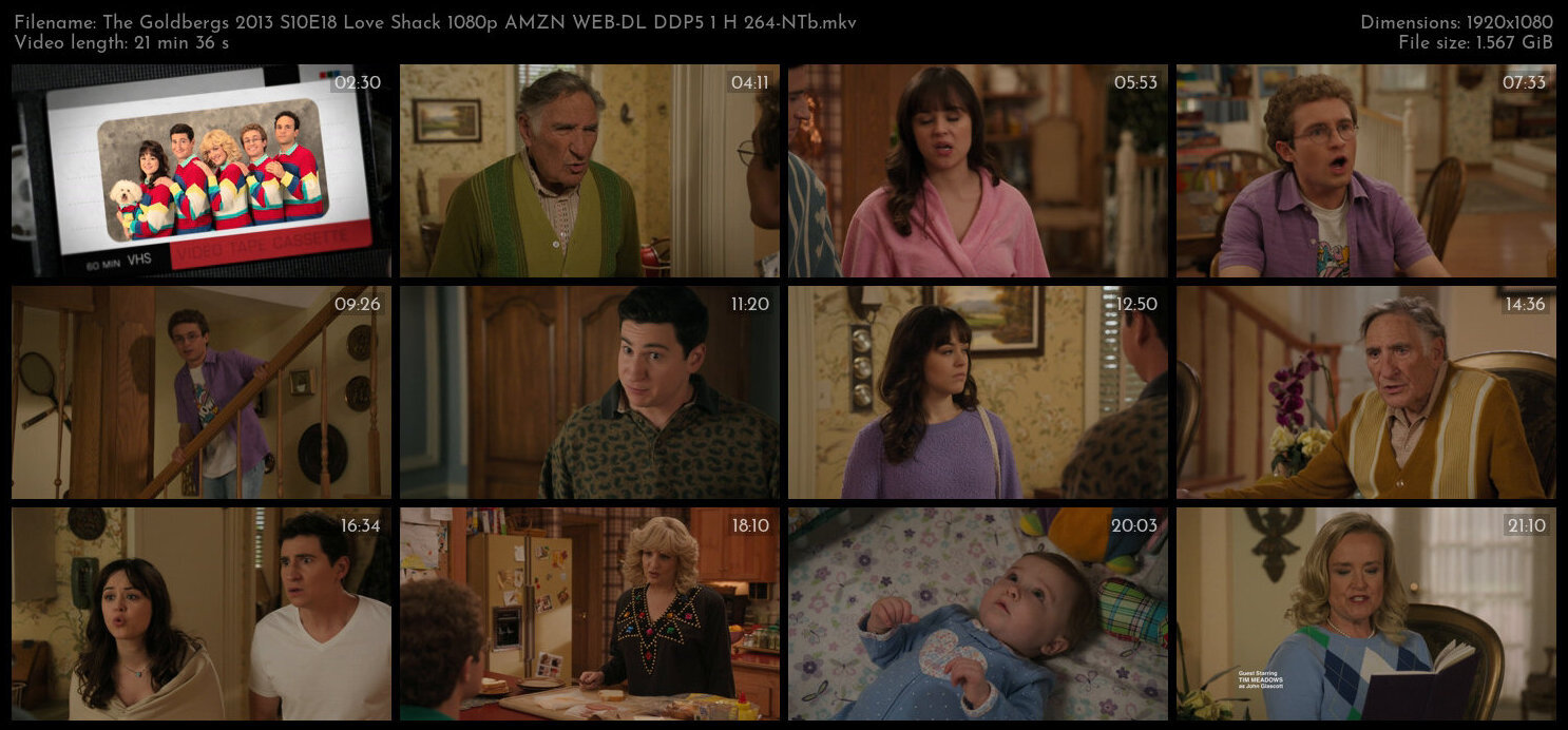 The Goldbergs 2013 S10E18 Love Shack 1080p AMZN WEB DL DDP5 1 H 264 NTb TGx