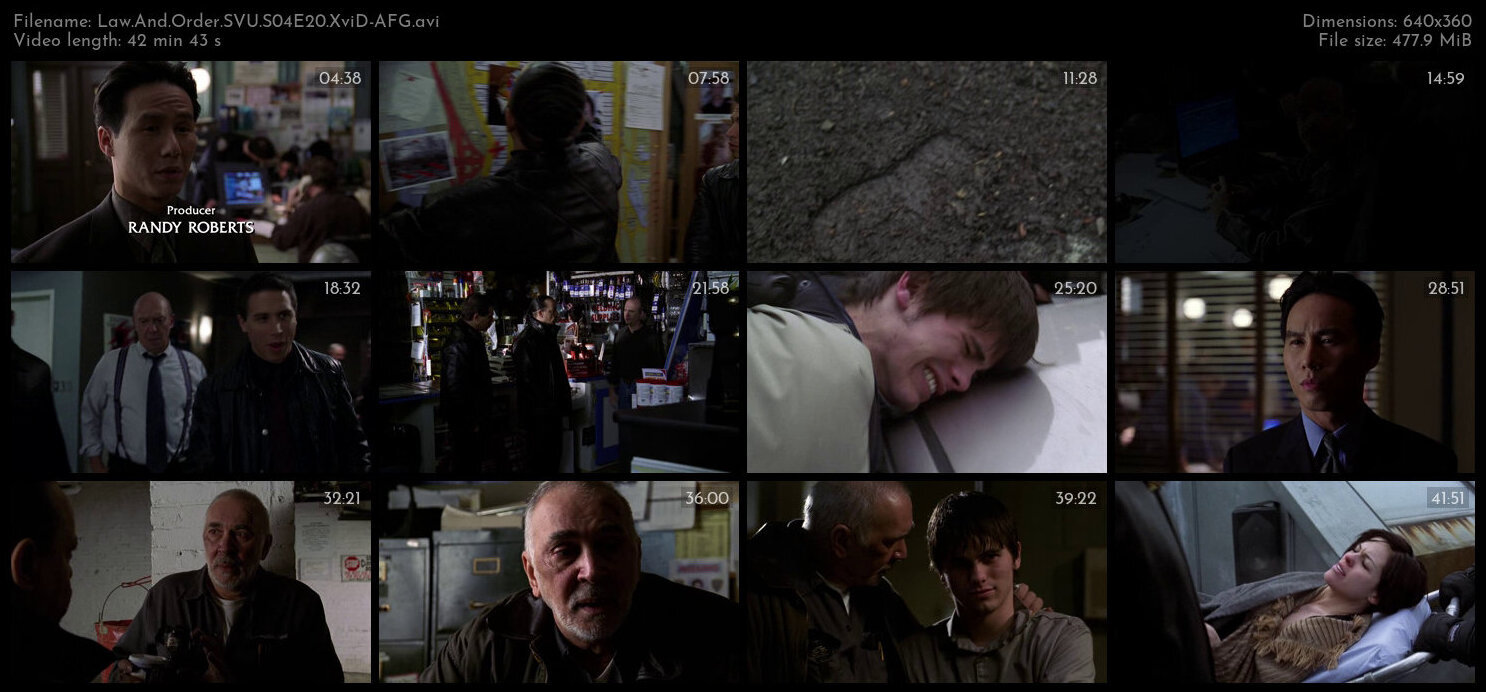 Law And Order SVU S04E20 XviD AFG TGx