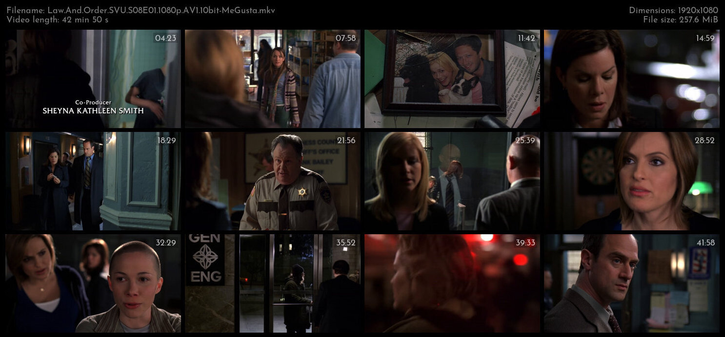 Law And Order SVU S08E01 1080p AV1 10bit MeGusta TGx