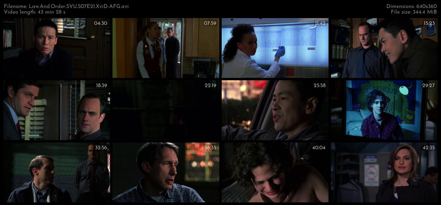 Law And Order SVU S07E21 XviD AFG TGx