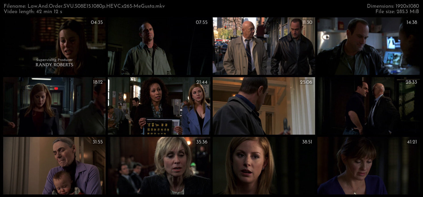 Law And Order SVU S08E15 1080p HEVC x265 MeGusta TGx