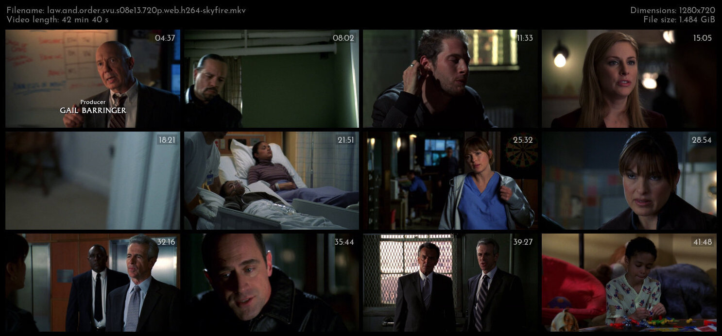 Law And Order SVU S08E13 720p WEB H264 SKYFiRE TGx