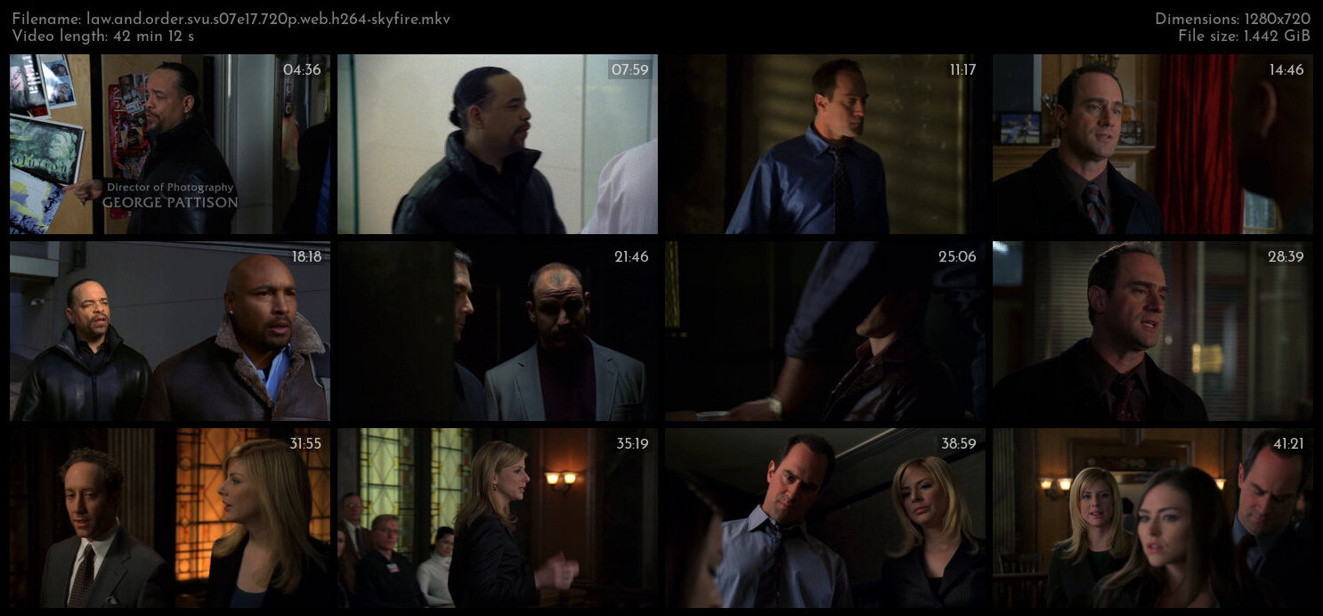 Law And Order SVU S07E17 720p WEB H264 SKYFiRE TGx