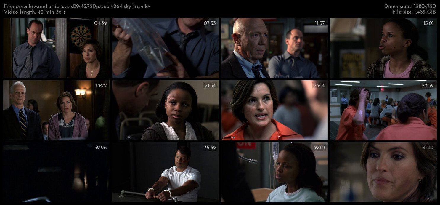 Law And Order SVU S09E15 720p WEB H264 SKYFiRE TGx