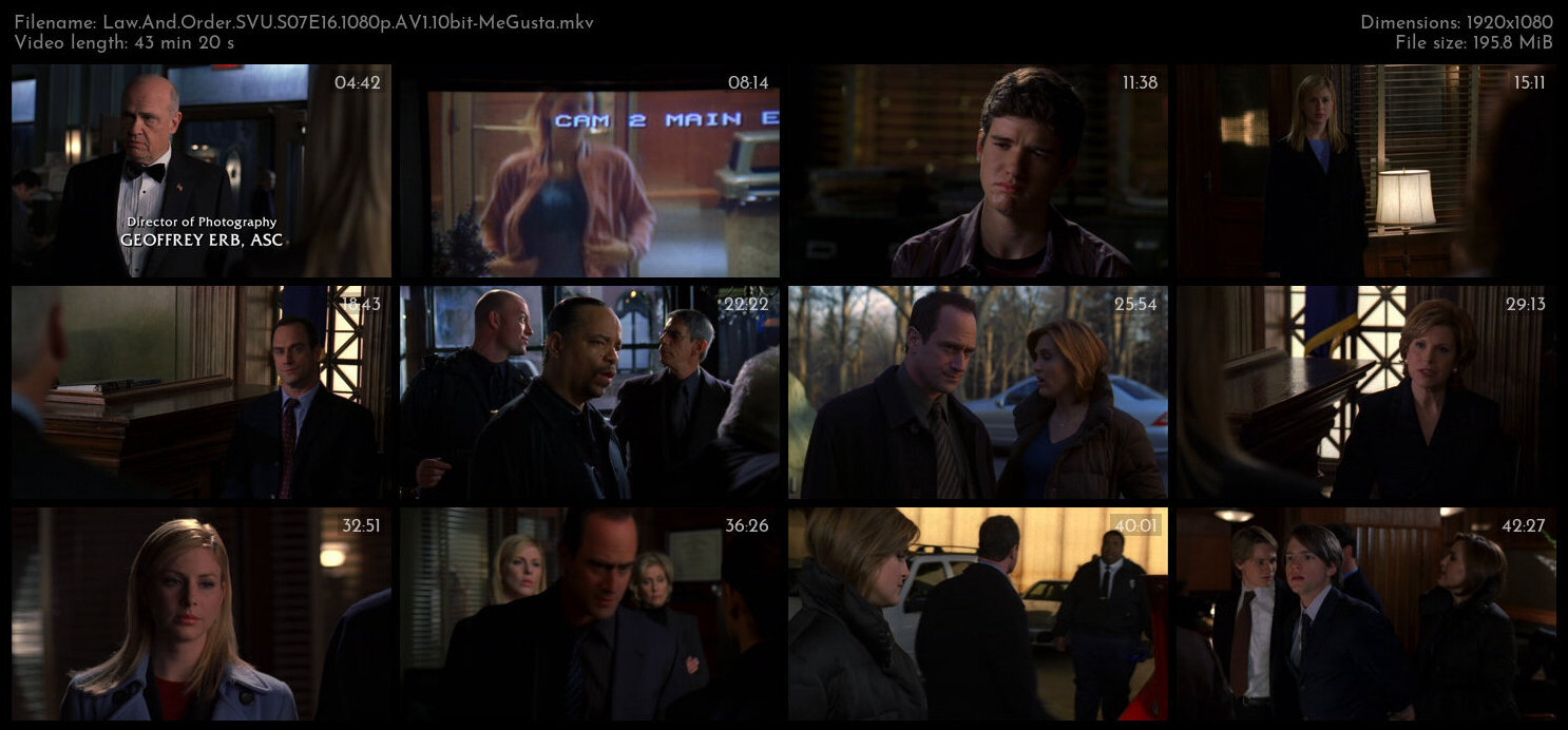 Law And Order SVU S07E16 1080p AV1 10bit MeGusta TGx