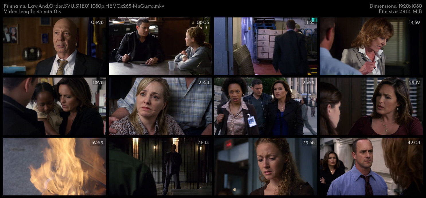 Law And Order SVU S11E01 1080p HEVC x265 MeGusta TGx