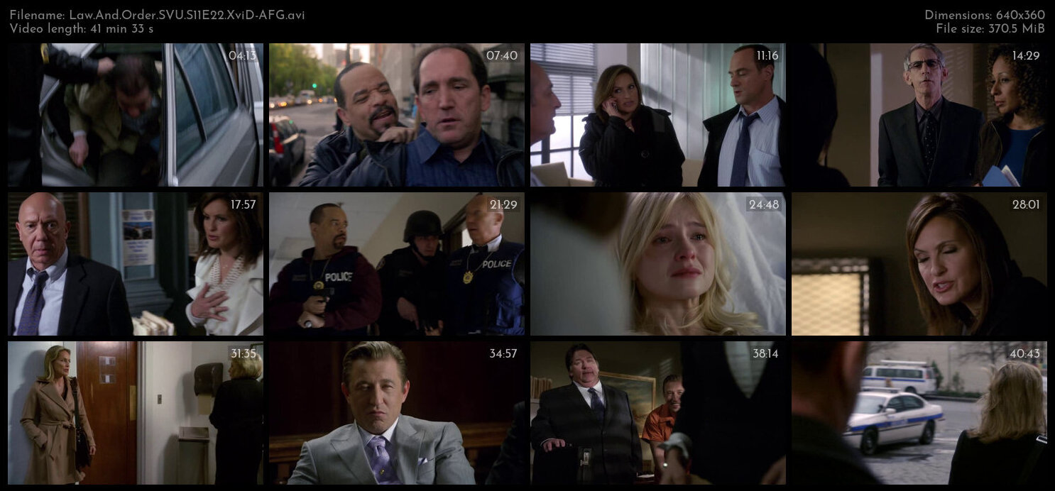 Law And Order SVU S11E22 XviD AFG TGx