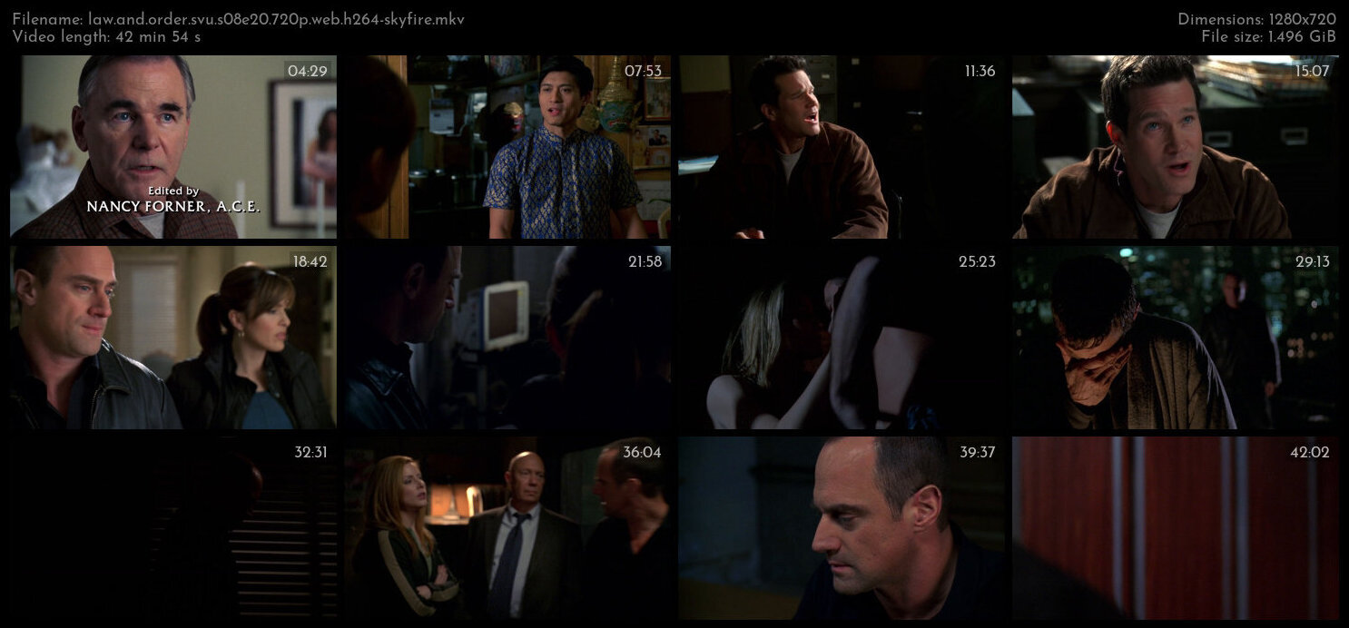 Law And Order SVU S08E20 720p WEB H264 SKYFiRE TGx