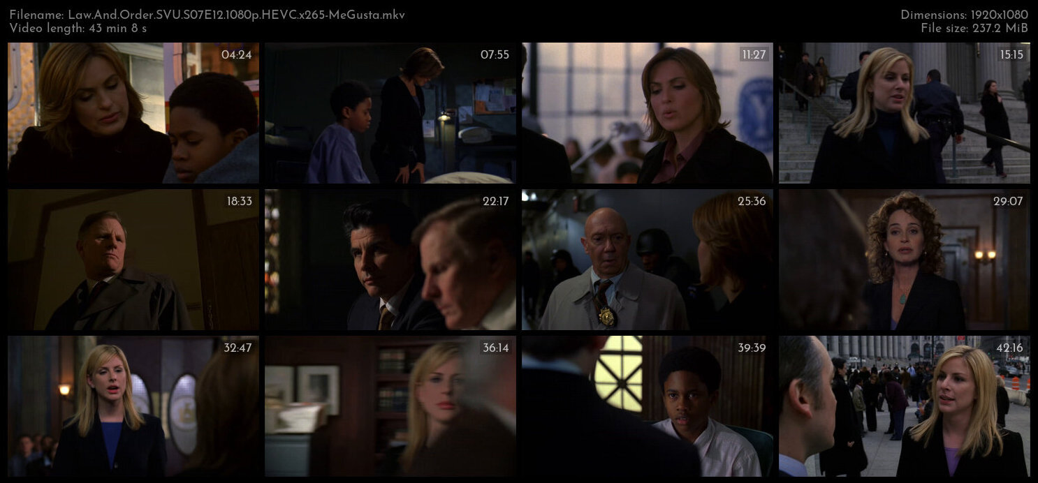 Law And Order SVU S07E12 1080p HEVC x265 MeGusta TGx