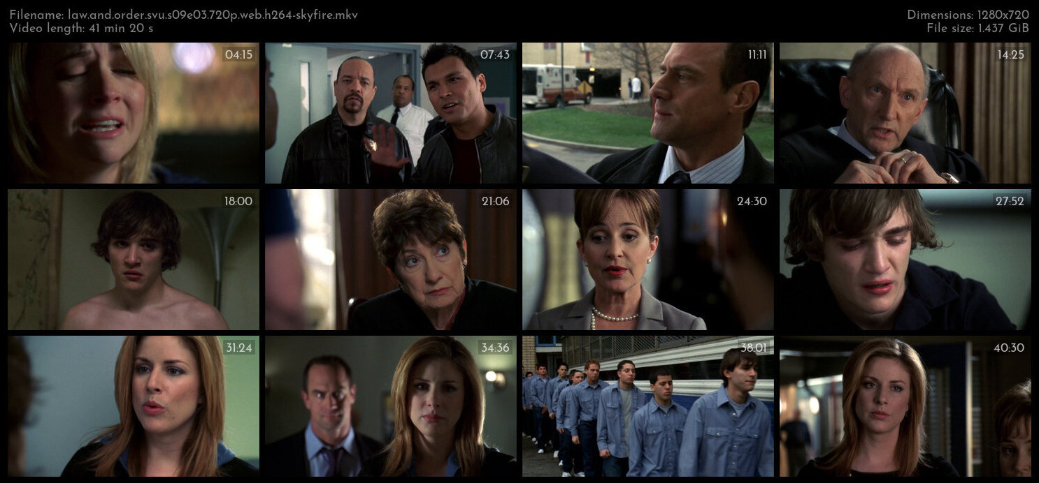 Law And Order SVU S09E03 720p WEB H264 SKYFiRE TGx