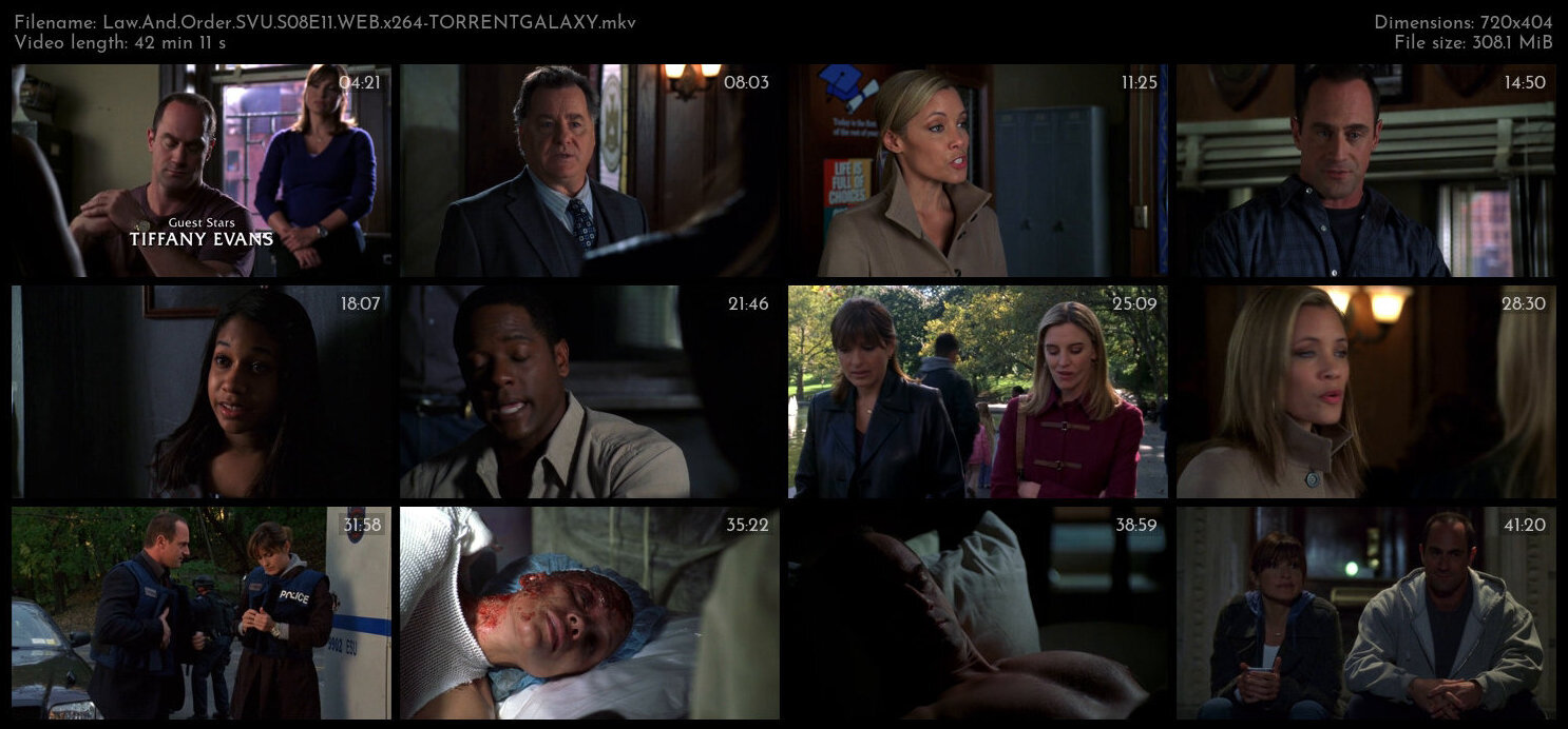 Law And Order SVU S08E11 WEB x264 TORRENTGALAXY