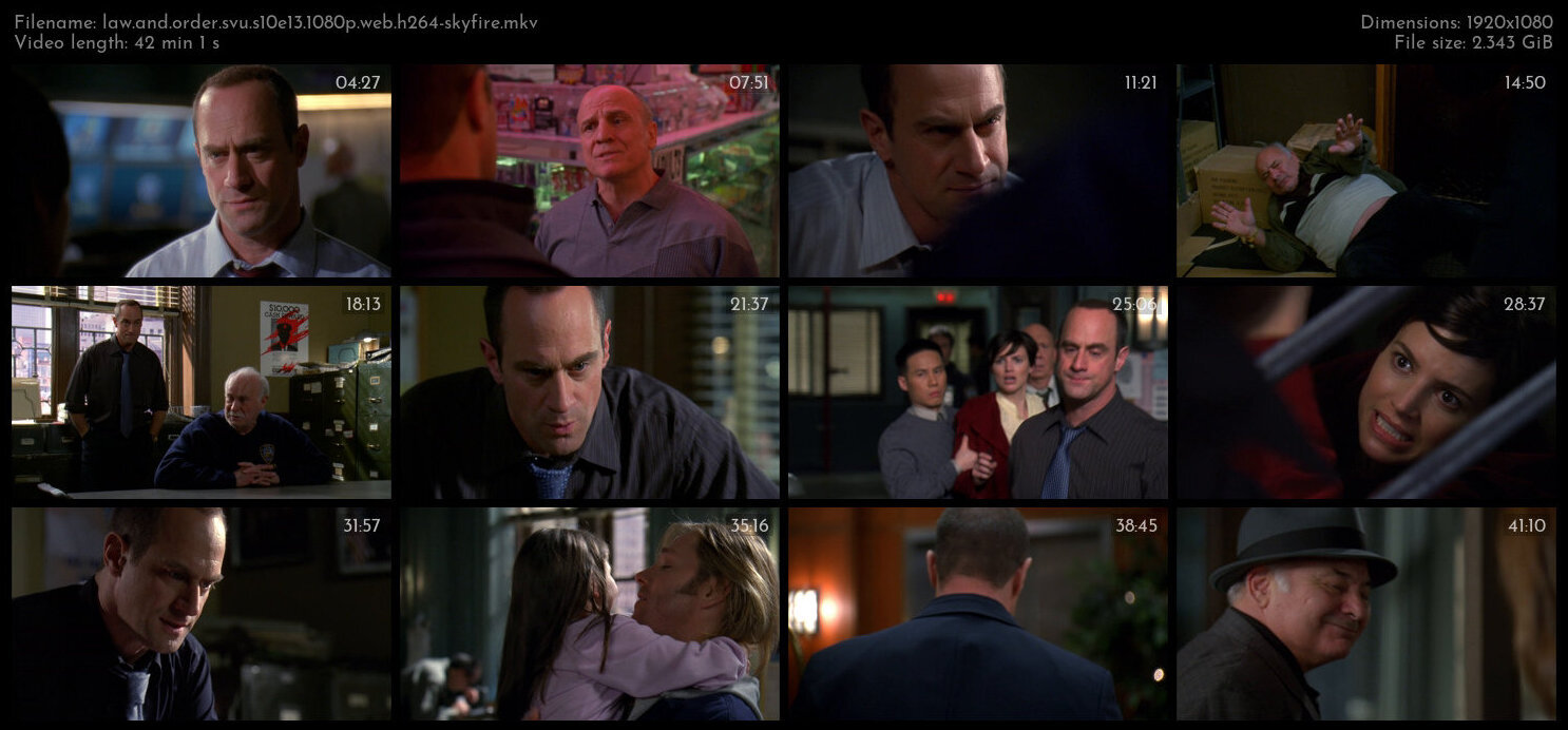 Law And Order SVU S10E13 1080p WEB H264 SKYFiRE TGx