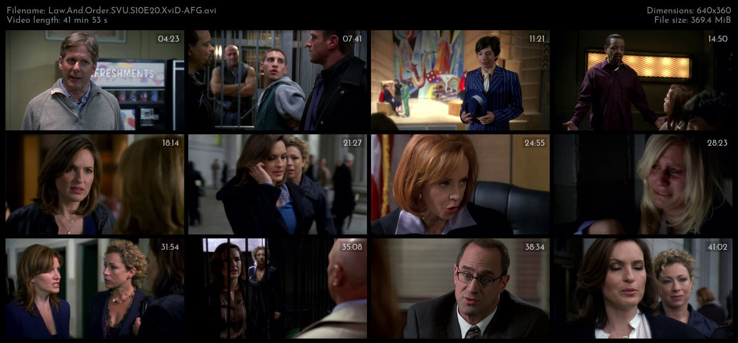 Law And Order SVU S10E20 XviD AFG TGx