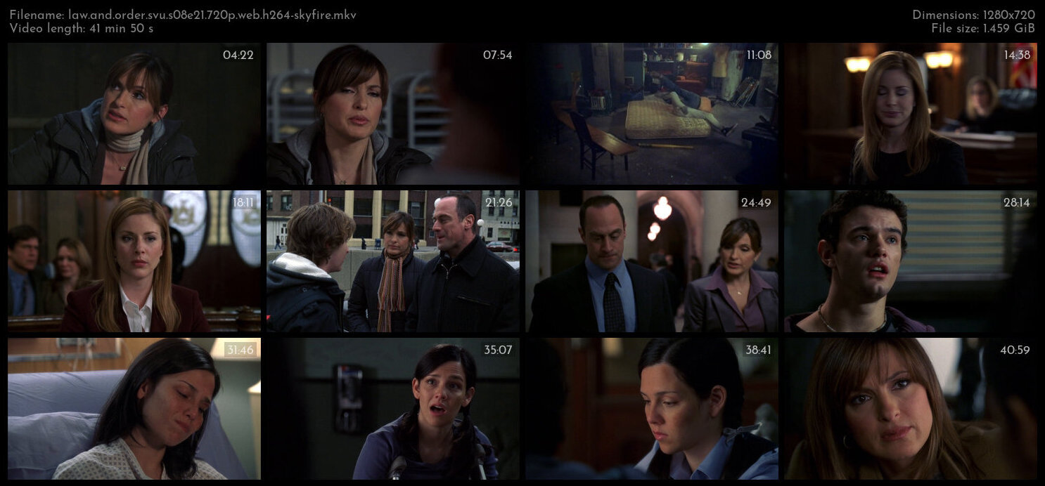 Law And Order SVU S08E21 720p WEB H264 SKYFiRE TGx