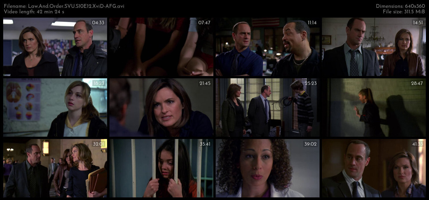 Law And Order SVU S10E12 XviD AFG TGx