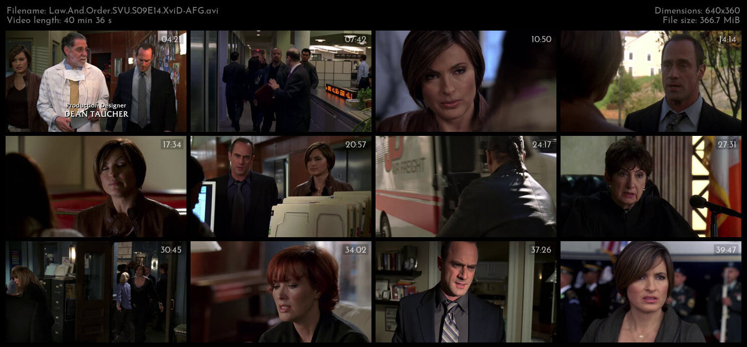 Law And Order SVU S09E14 XviD AFG TGx