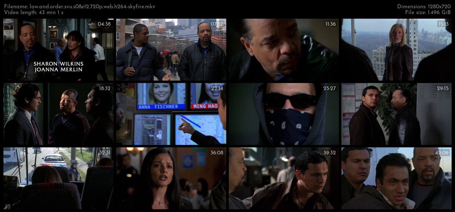 Law And Order SVU S08E12 720p WEB H264 SKYFiRE TGx