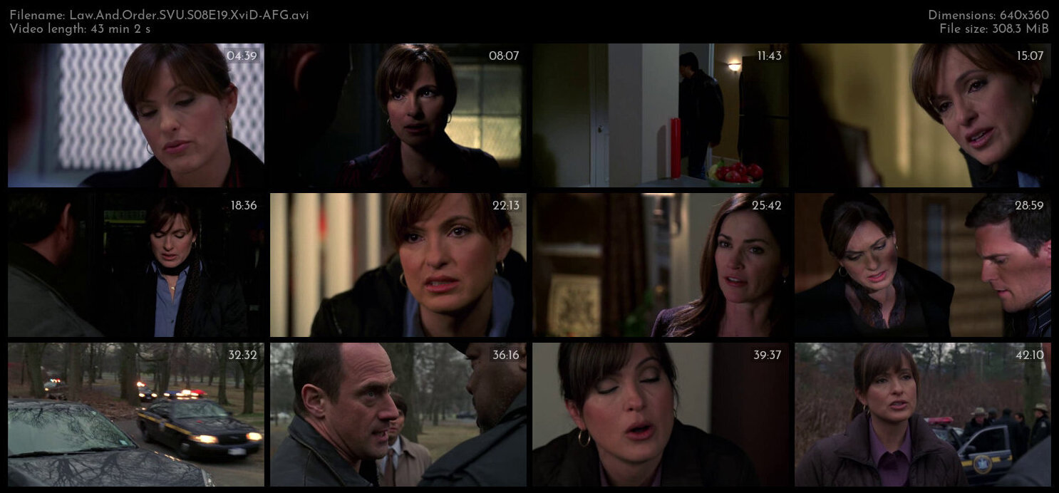 Law And Order SVU S08E19 XviD AFG TGx