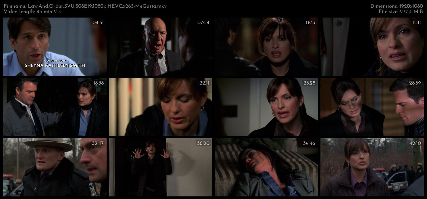 Law And Order SVU S08E19 1080p HEVC x265 MeGusta TGx