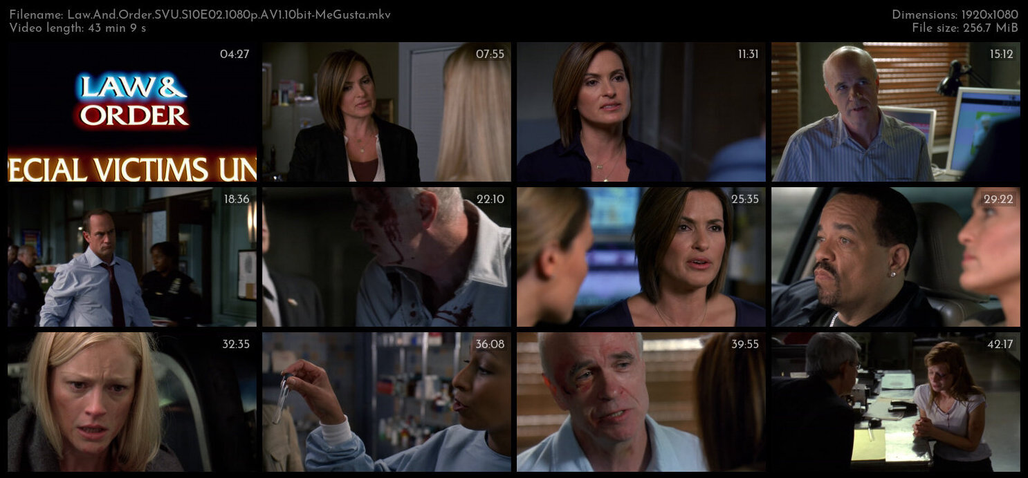 Law And Order SVU S10E02 1080p AV1 10bit MeGusta TGx