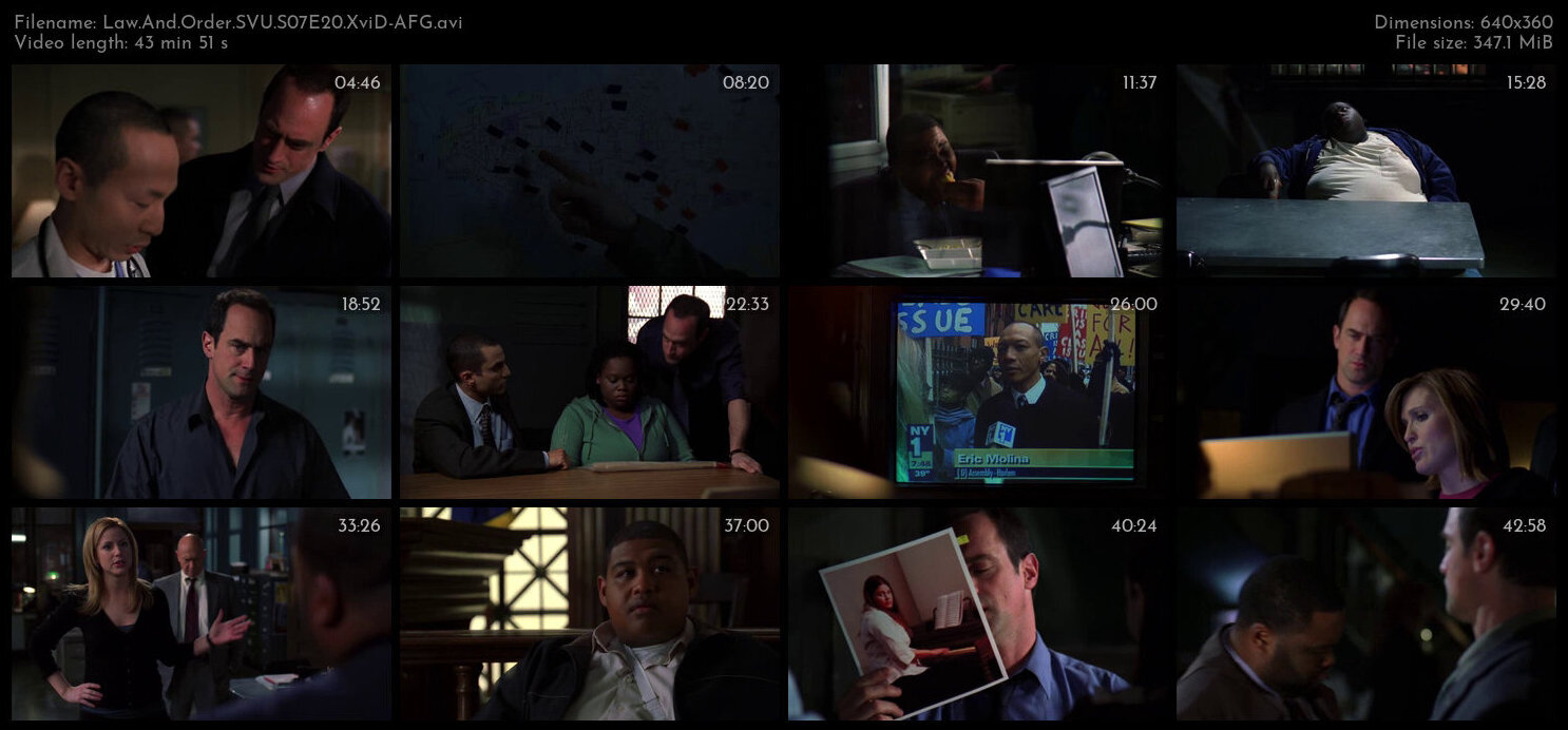 Law And Order SVU S07E20 XviD AFG TGx