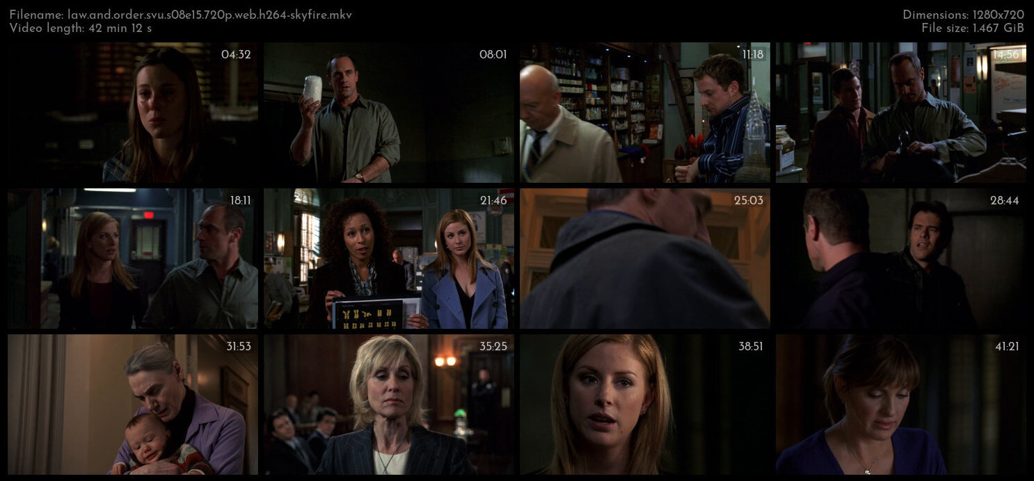 Law And Order SVU S08E15 720p WEB H264 SKYFiRE TGx