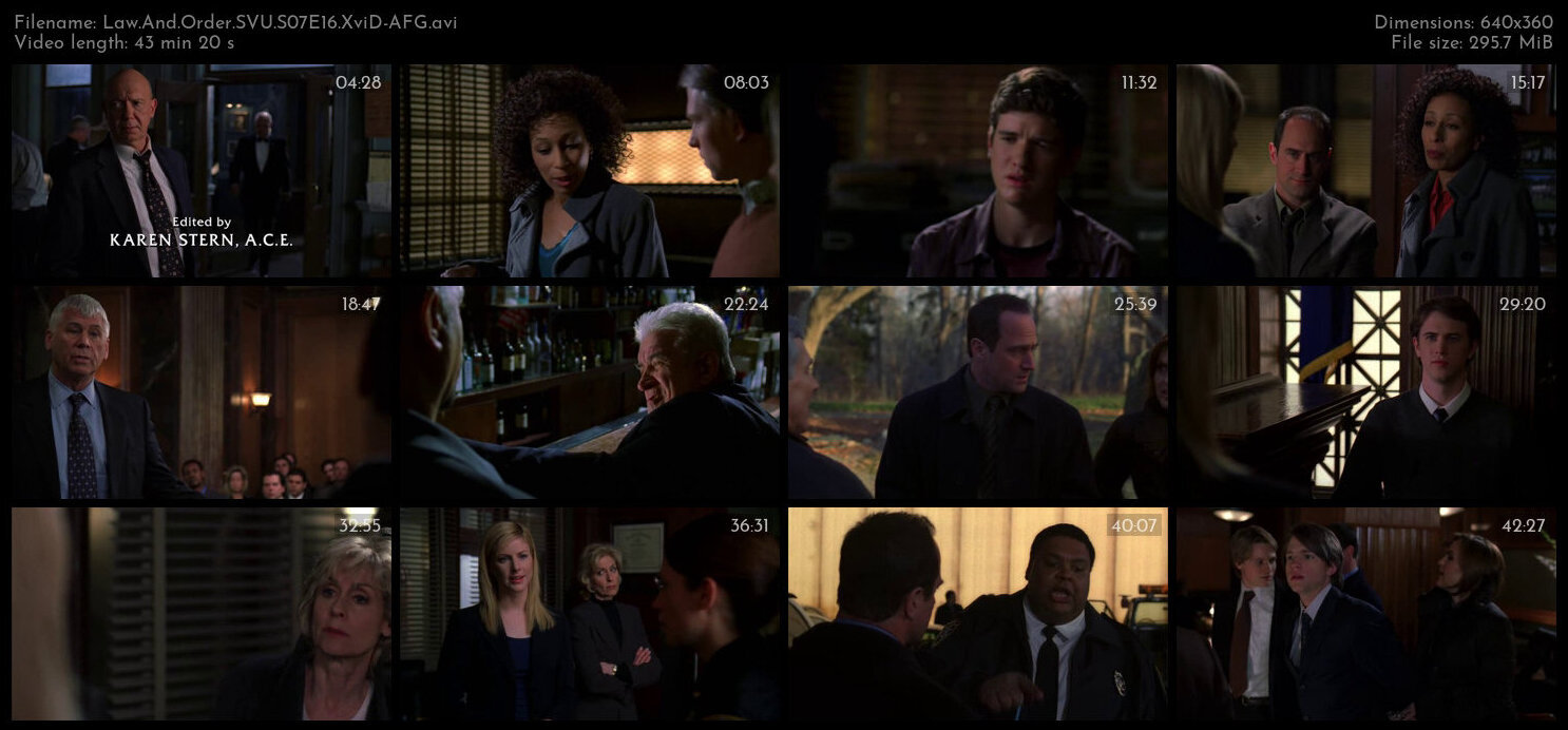 Law And Order SVU S07E16 XviD AFG TGx