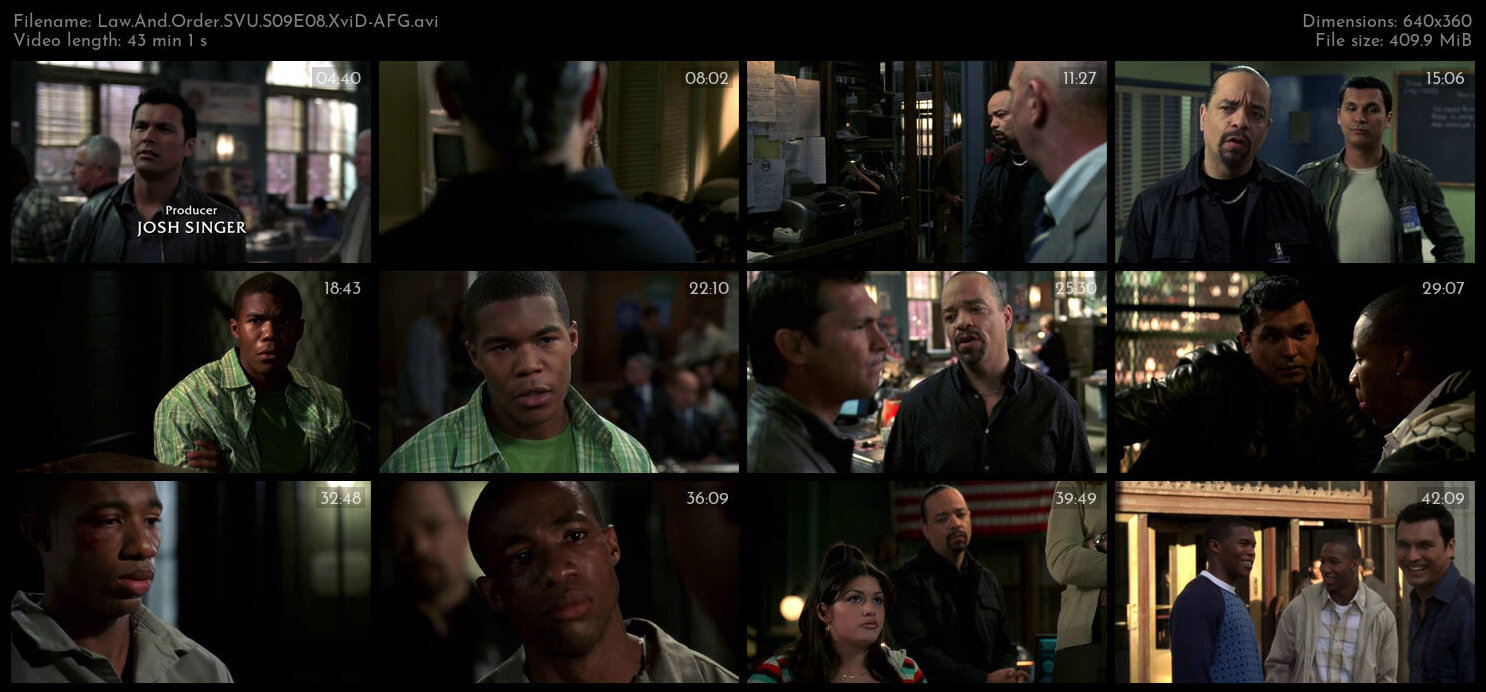 Law And Order SVU S09E08 XviD AFG TGx