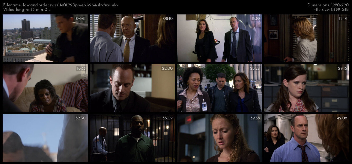 Law And Order SVU S11E01 720p WEB H264 SKYFiRE TGx