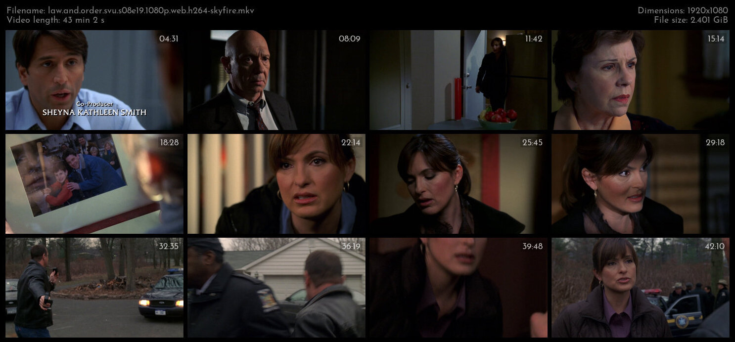 Law And Order SVU S08E19 1080p WEB H264 SKYFiRE TGx