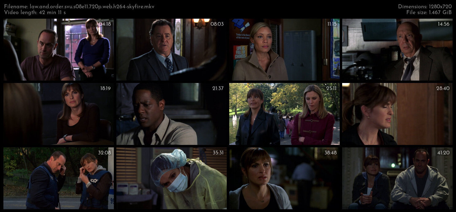 Law And Order SVU S08E11 720p WEB H264 SKYFiRE TGx