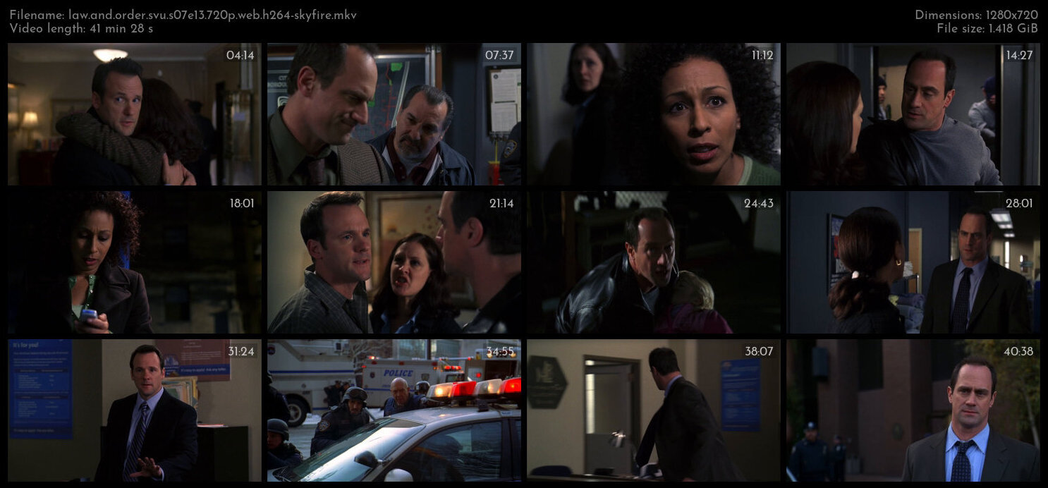 Law And Order SVU S07E13 720p WEB H264 SKYFiRE TGx