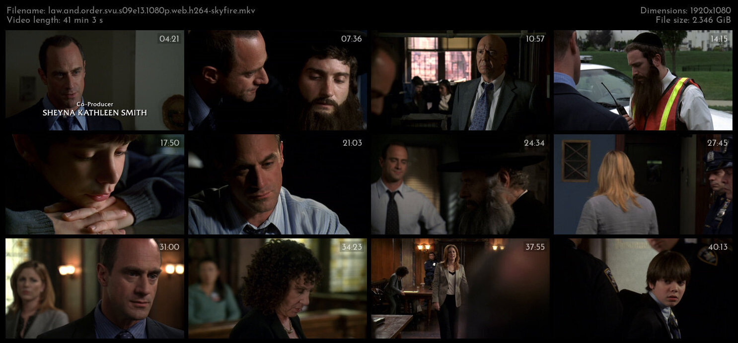 Law And Order SVU S09E13 1080p WEB H264 SKYFiRE TGx