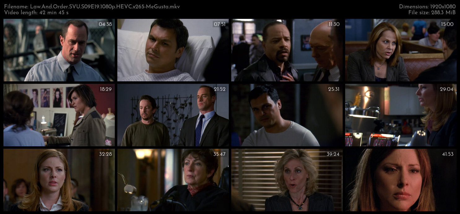 Law And Order SVU S09E19 1080p HEVC x265 MeGusta TGx